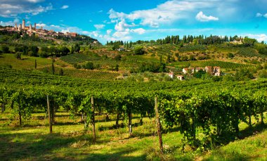 tipik Toskana peyzaj