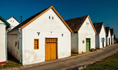 Palkonya güzel eski şarap mahzenleri