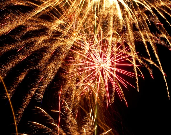 Kleurrijke, levendige vuurwerk — Stockfoto