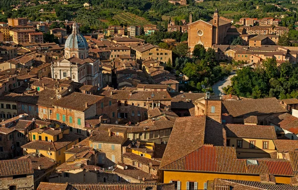 Pěkný výhled na staré město Siena — Stock fotografie