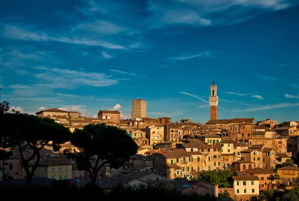 Nice houses in the old town of Siena — Stock Photo, Image