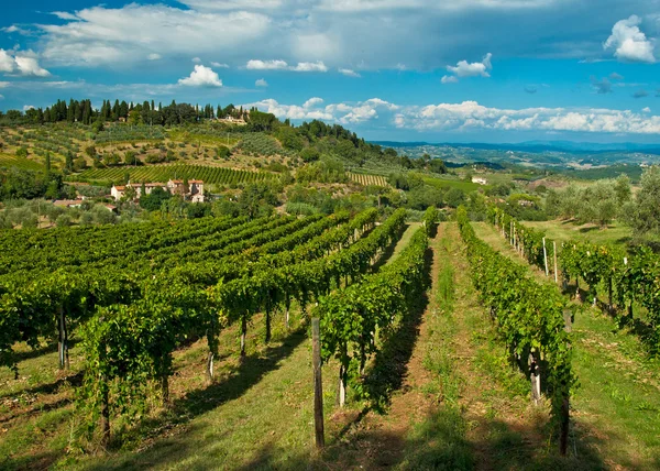 Típico paisaje toscano — Foto de Stock