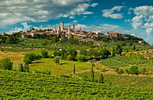 Típico paisaje toscano — Foto de Stock