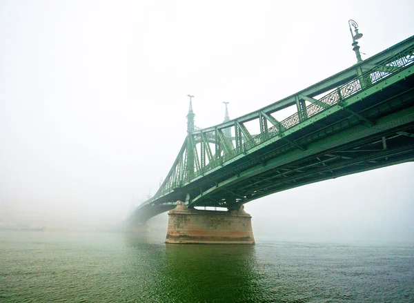 Foggy liberty bridge in Budapest — Stock Photo, Image