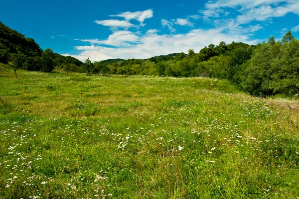 Perfekte farbenfrohe Landschaft — Stockfoto