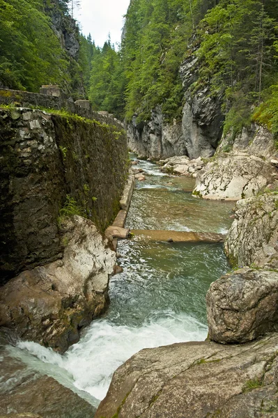 Schöner Waldwasserfall — Stockfoto