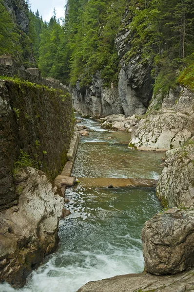 Bela cachoeira floresta — Fotografia de Stock