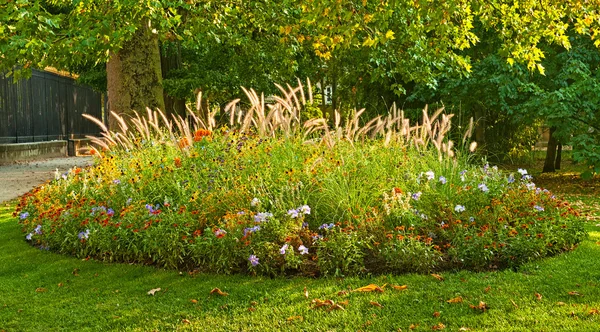 Prachtig flowerbed in tuin — Stockfoto