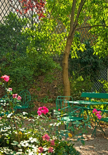 Acogedor graden rosa en el día soleado — Foto de Stock