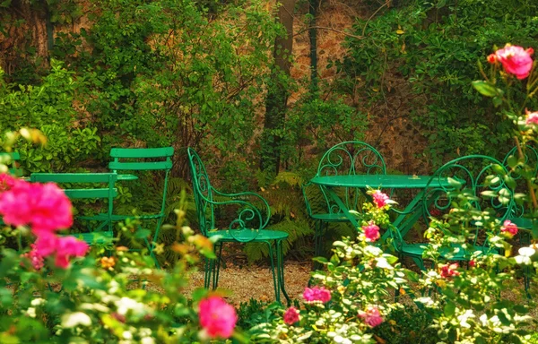 Gemütliches Rosengraden an sonnigem Tag — Stockfoto