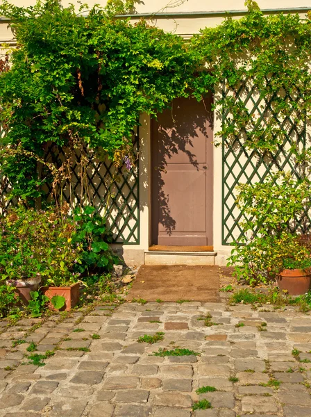 Puerta en jardín con hiedra en la pared — Foto de Stock