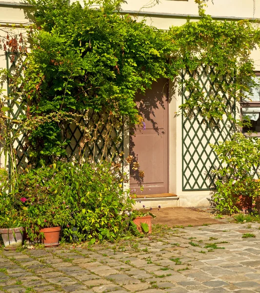 Puerta en jardín con hiedra en la pared — Foto de Stock