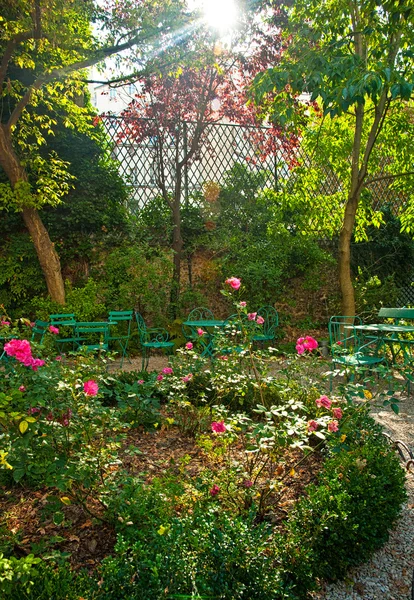 Acogedor graden rosa en el día soleado — Foto de Stock