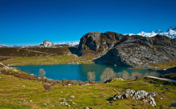 Dokonalá barevná krajina — Stock fotografie