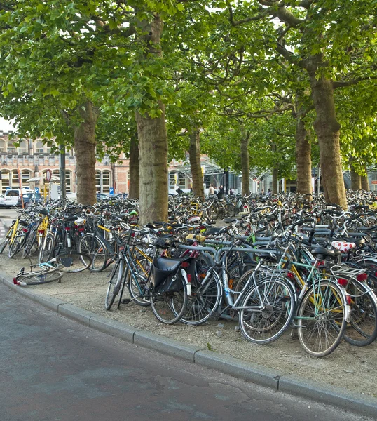 Bikes in the streets of Ghent, Belgium — Stock Photo, Image