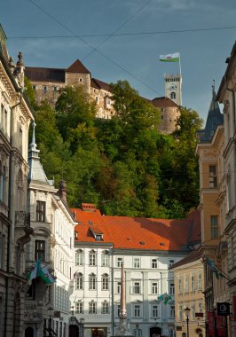 Ljubljana eski kasaba güzel evlerde