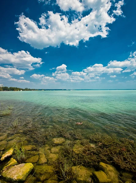 아름 다운 호수 Balaton — 스톡 사진