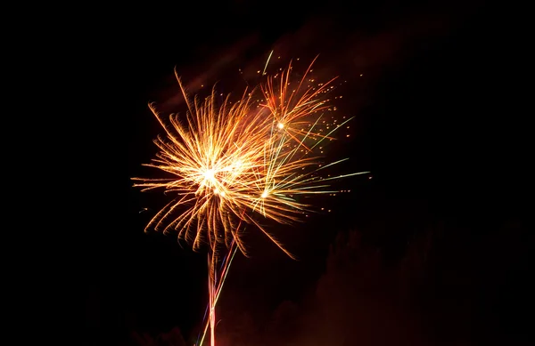 Coloridos fuegos artificiales vívidos — Foto de Stock