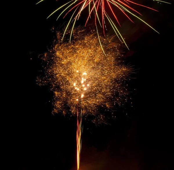 Fogos de artifício vívidos coloridos — Fotografia de Stock