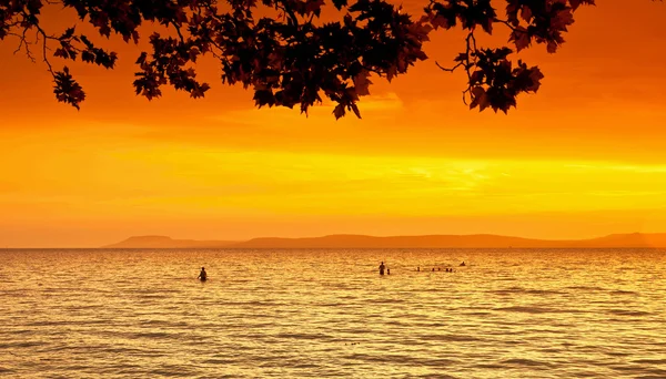 Золотий захід сонця над озером — стокове фото