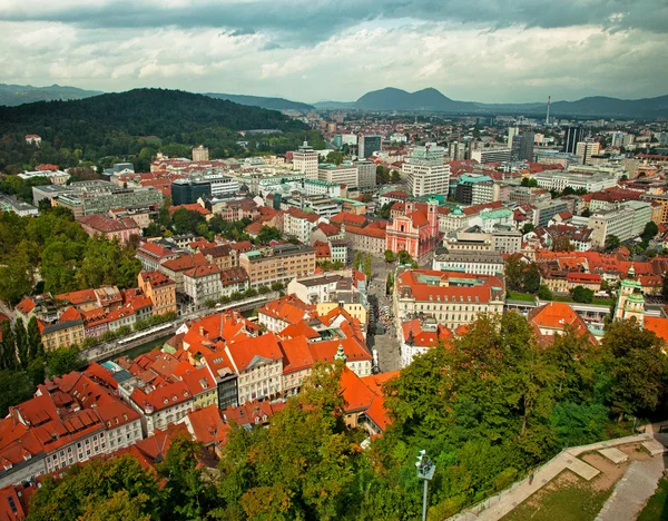 Kleurrijke daken in Ljubljana — Stockfoto