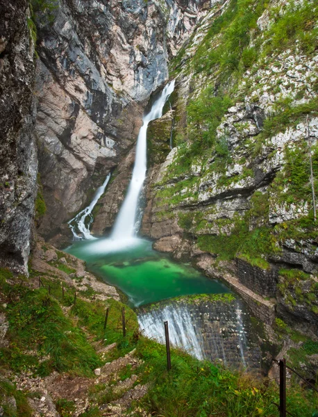 Soutěska Vintgar a dřevěné cesty — Stock fotografie