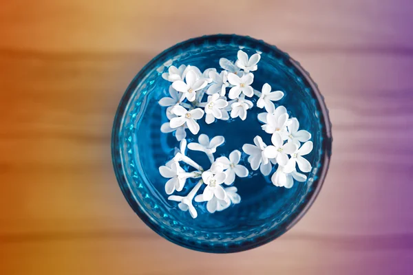 Lilac flowers in glass - top view — Stock Photo, Image