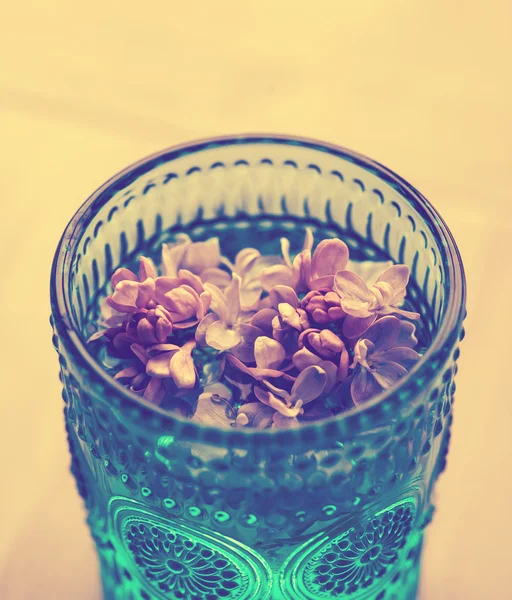 Lila bloemen in glas — Stockfoto