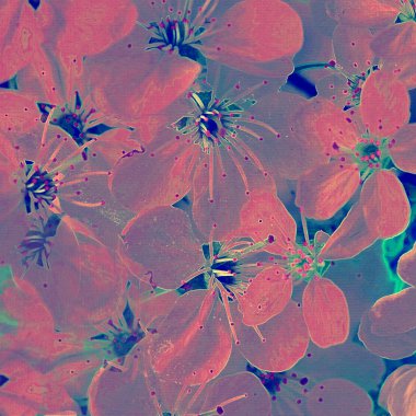 Çiçekler çok güzel arka plan. Resim Stili