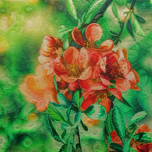 Στυλ Art λουλούδια background.painting — Φωτογραφία Αρχείου
