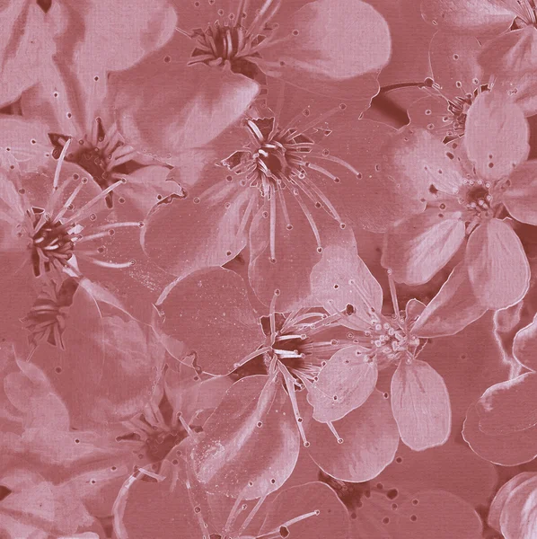 Art flowers background.painting style — Stock Photo, Image