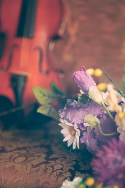 Roses and violin Stock Image