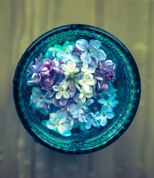 Lila bloemen in glas. — Stockfoto