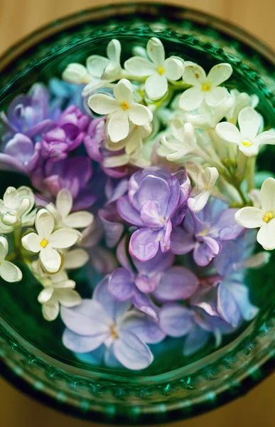 Fondo de flores lila — Foto de Stock