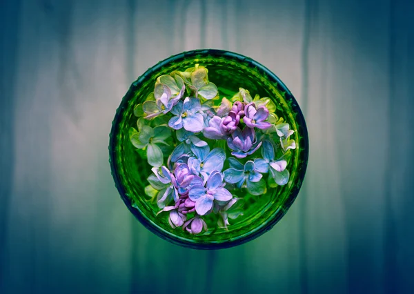 Lila blommor i glas. — Stockfoto