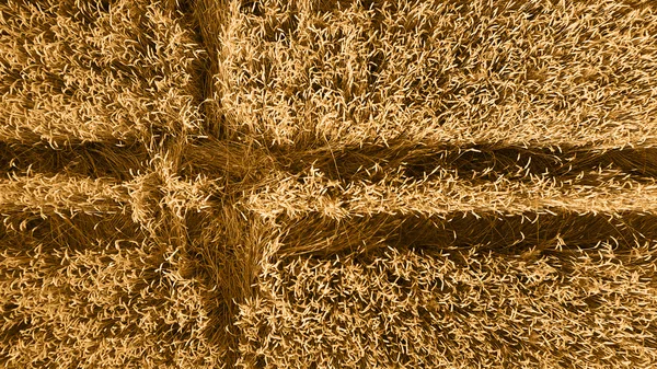 Rogge veld, luchtfoto — Stockfoto