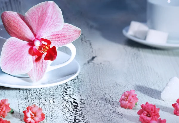 Орхидея цветок и чаша — стоковое фото