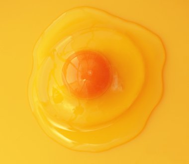 Sarı zemin üzerine yumurta sarısı