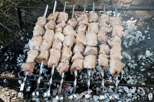 Carne Fresca Sugli Spiedini Montata Sui Carboni — Foto Stock