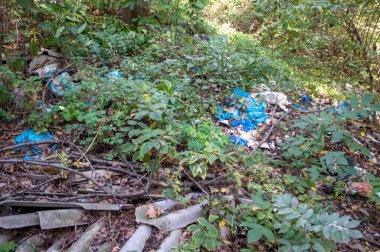 İnsanlar tarafından ormana atılan ev atıkları.