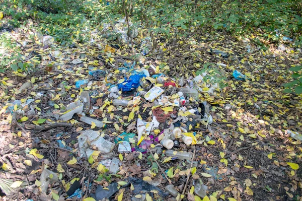 Odpady Gospodarstw Domowych Wyrzucane Przez Ludzi Lesie — Zdjęcie stockowe
