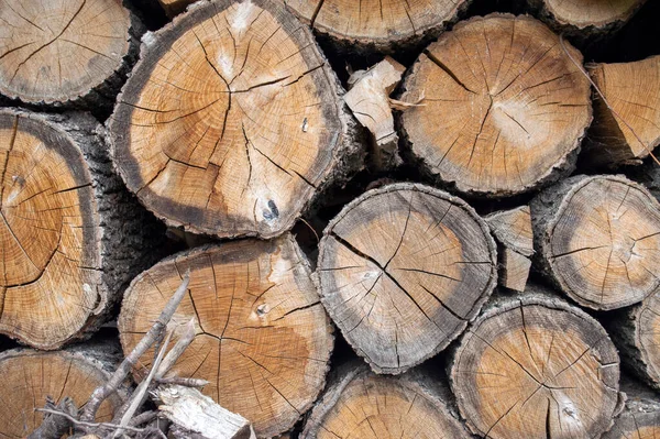 Achtergrond Vorm Van Niet Gehakt Eikenhout — Stockfoto