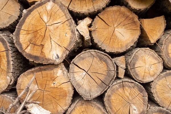 Achtergrond Vorm Van Niet Gehakt Eikenhout — Stockfoto