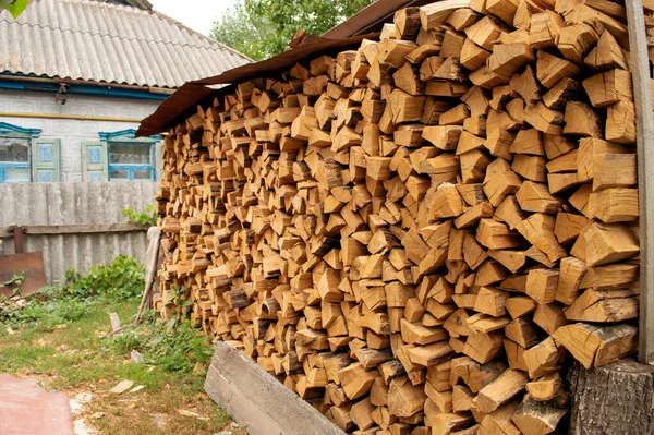Kış Mevsiminde Kesilen Meşe Odunları Için Depolama — Stok fotoğraf