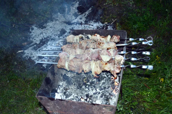 Carne sugli spiedini — Foto Stock