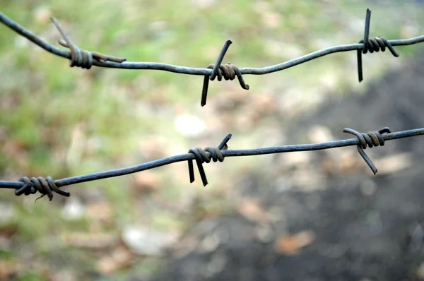 Två rader taggtråd — Stockfoto