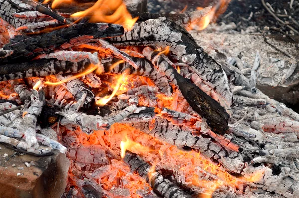 Charbon de bois brûlé — Photo