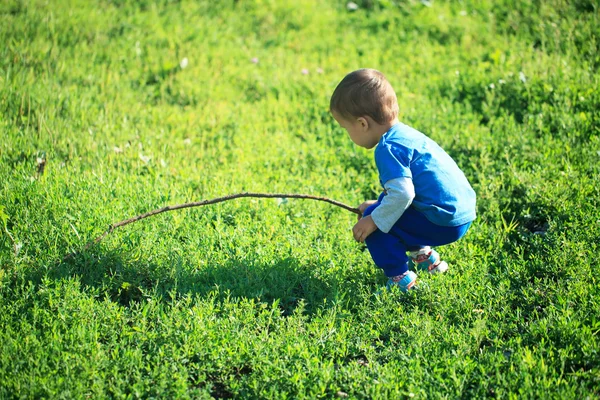 Porträtt av söt liten pojke spelar på gräset — Stockfoto