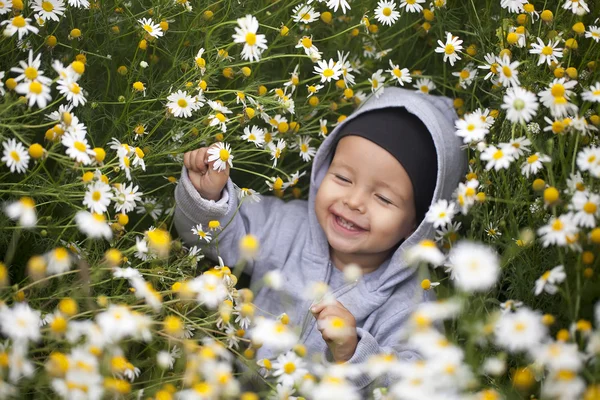 カモミールの草原上の小さな男の子 — ストック写真