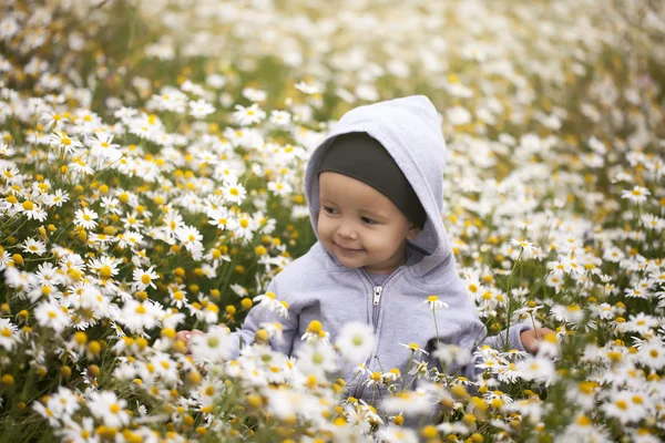 Little boy on the camomile meadow — Stock Photo, Image
